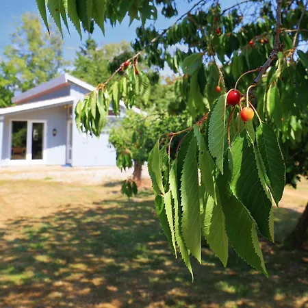 Holiday home Xxxiv