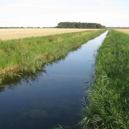 10 Person In Dannemare-by Traum Dannemare