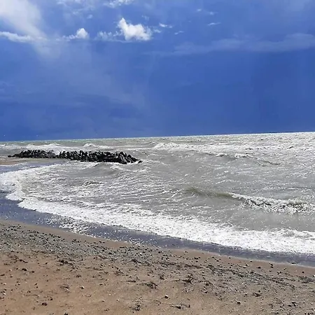10 Person In Dannemare-by Traum *