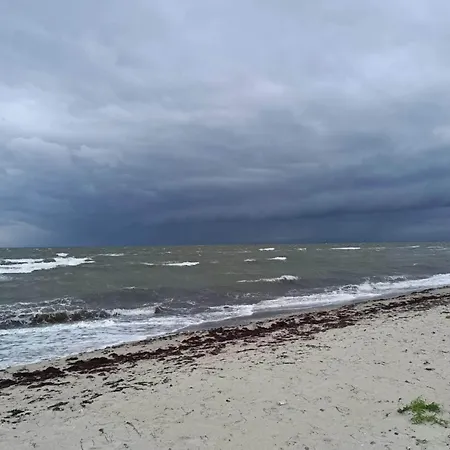 10 Person In Dannemare-by Traum *
